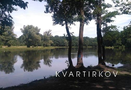 1 комнатная квартира  с wi-fi, Калининград - квартира посуточно