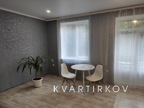 Cozy studio apartment on Dzerzhinka, Krivoy Rog - apartment by the day