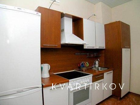 1K studio apartment with internet, parki, Saint Petersburg - apartment by the day