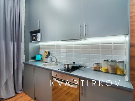 Deluxe Loft style apartment, Kyiv - apartment by the day