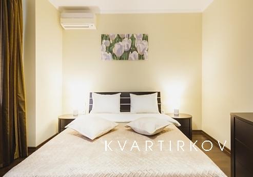 Luxury apartments near the metro, Kyiv - apartment by the day