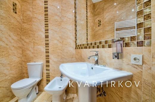 Spacious luxury apartment, Lviv - apartment by the day