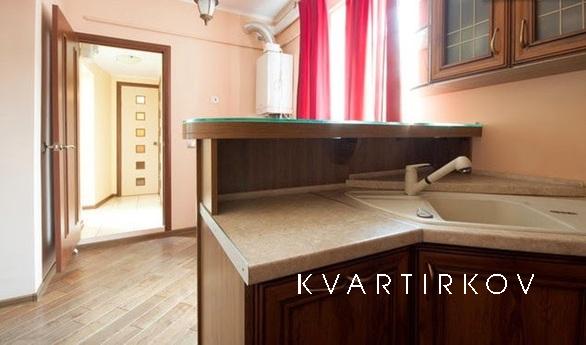 2 minutes to the Opera House, Lviv - apartment by the day