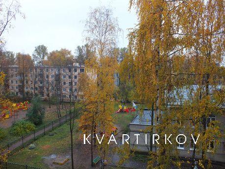 Great apartment near Novocherkassk pm, Saint Petersburg - apartment by the day