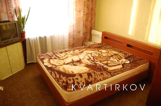 Cvoya 2-bedroom apartment for rent, Kyiv - apartment by the day