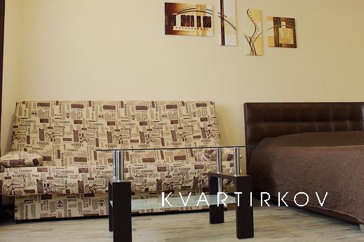 Studio apartment in the center of Artemo, Bakhmut (Artemivsk) - apartment by the day