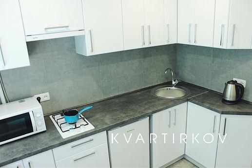 New apartment in the center of Bakhmut!, Bakhmut (Artemivsk) - apartment by the day
