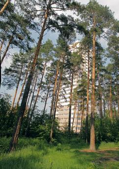 Юго-Запад. Перекресток Амундсена-Бардина, Екатеринбург - квартира посуточно