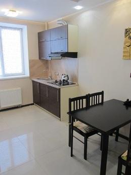 Apartments for rent in a new building!, Kharkiv - apartment by the day