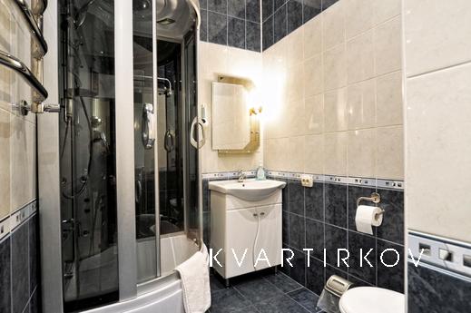 Apartment on European standards. Center, Kyiv - apartment by the day