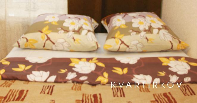 1 кімнатна квартира на Динамо, Москва - квартира подобово