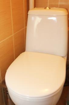 1 кімнатна квартира на Динамо, Москва - квартира подобово