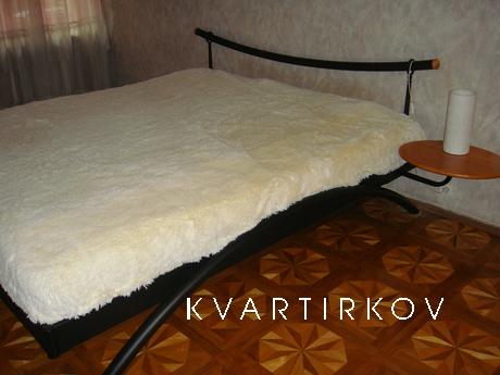 2-bedroom Kiev center, Kyiv - apartment by the day