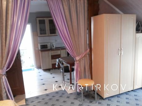 Apartment in tsentrі mista 3m. well-roo, Truskavets - apartment by the day