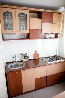 3 bedroom in the center of Kremenchug, Kremenchuk - apartment by the day