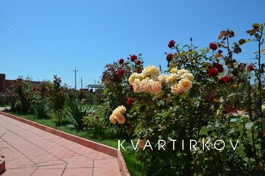 Private pension S.D.Klub sea, Sevastopol - apartment by the day