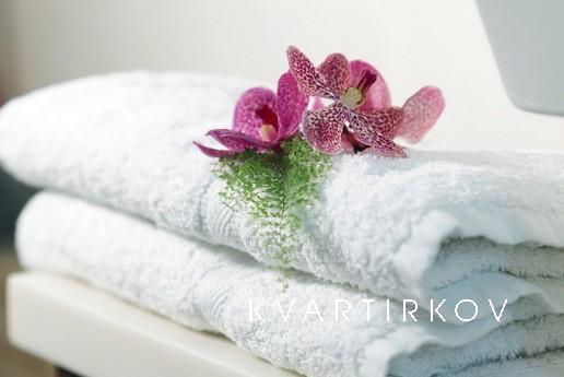 Прекрасные апартаменты премиум-класса, Москва - квартира посуточно