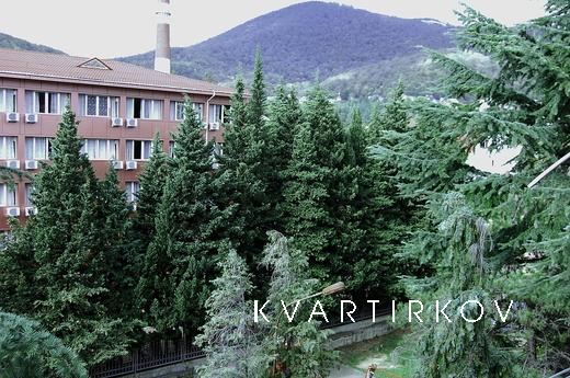 One bedroom apartment in Lazarite, Sochi - apartment by the day