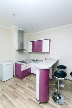 VIP studio near the railway station, Kyiv - apartment by the day
