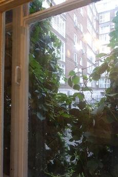 Квартира возле метро Краснопресненская, Москва - квартира посуточно