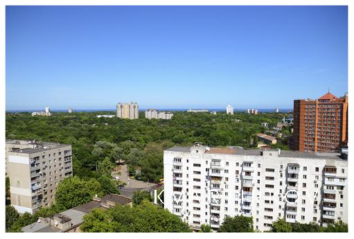 If you are a nice guest of Odessa, Odessa - apartment by the day