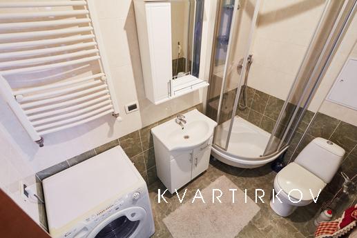 Однокімнатна квартира в центрі Львова, Львів - квартира подобово
