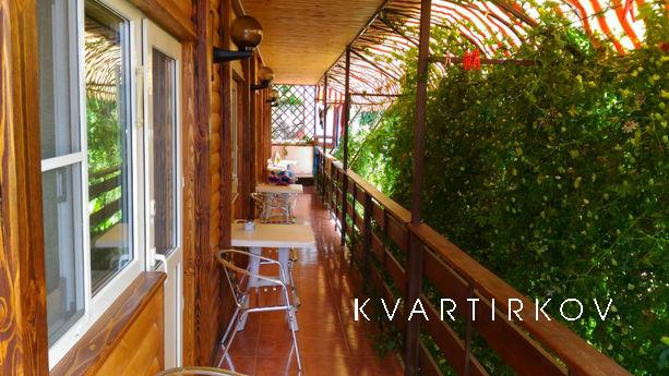 Дивноморское отдых жилье в Геленджик, Геленджик - квартира посуточно