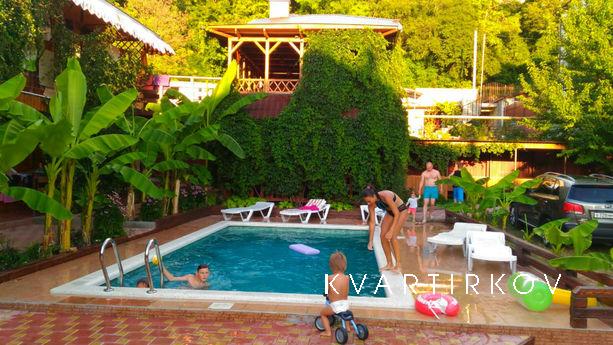 Дивноморское отдых жилье в Геленджик, Геленджик - квартира посуточно