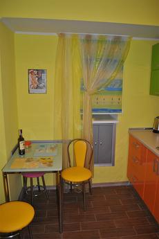 Comfortable apartment in the center., Odessa - apartment by the day