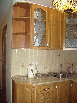 Уютная квартира на сутки в Центральном р-не, ул. Невская, не