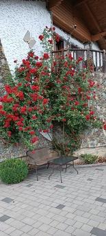 Садиба Янчар Апартаменти с Басейном, Яремча - квартира подобово