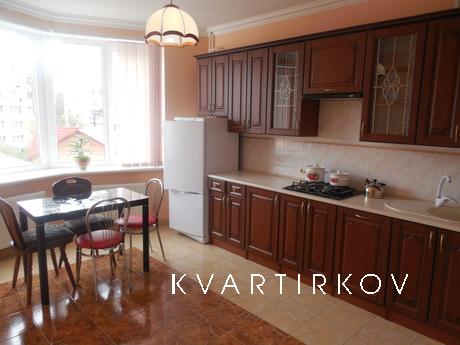 Luxurious apartment in the center, Truskavets - apartment by the day