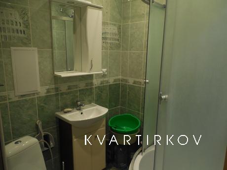 One-bedroom apartment near the market, Truskavets - apartment by the day