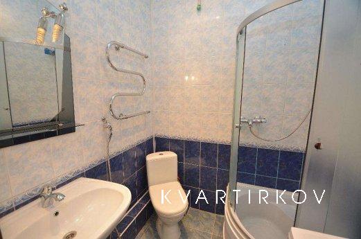 Wonderful apartment in the city center!, Mykolaiv - apartment by the day