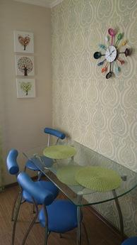 best apartment, renovated, Wi-Fi, Vinnytsia - apartment by the day