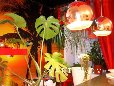 Кв-студия с баром на -FI., Саранск - квартира посуточно