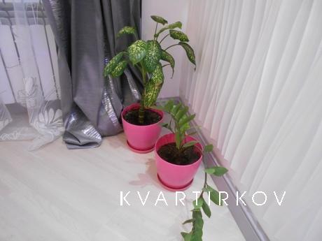 Дизайн,стиль, отличительный декор, Саранск - квартира посуточно