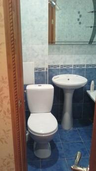 Rent a comfortable apartment in the cent, Horlivka - apartment by the day