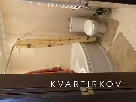 rent a house from the landlady by the se, Odessa - apartment by the day