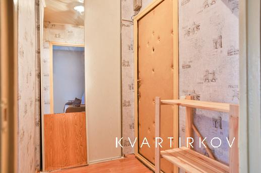 Apartment for Rent 'Friendship', Moscow - apartment by the day