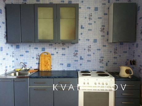 Apartment for Rent, Yekaterinburg - apartment by the day