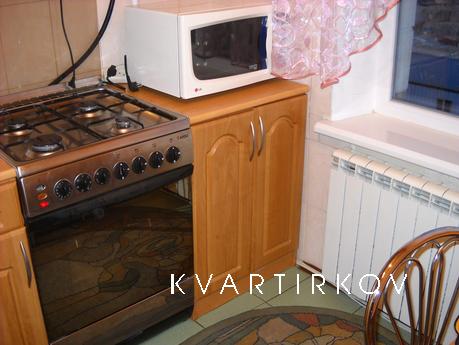 Cozy 1 bedroom apartment near the center, Kyiv - apartment by the day