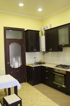 Comfortable apartment just for you!, Lviv - apartment by the day