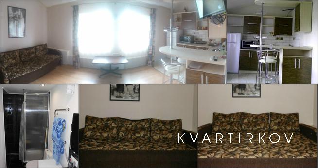 New apartment in the center, Ivano-Frankivsk - apartment by the day