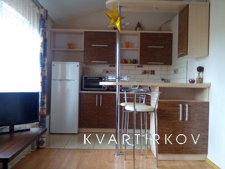 New apartment in the center, Ivano-Frankivsk - apartment by the day