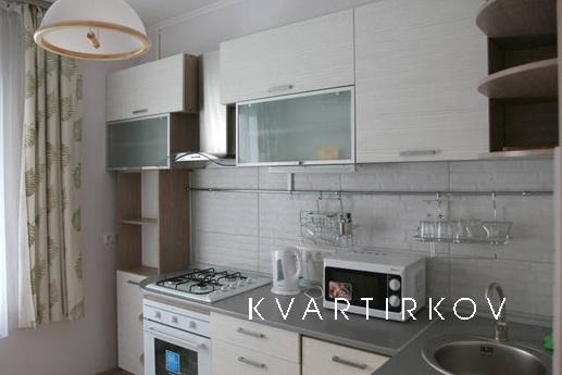 Bright and cozy apartment in the center, Kyiv - apartment by the day