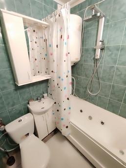 1к кв автовокзал,м Деміївська, Ягідна, Киев - квартира посуточно