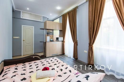 Romantic Studio in the center for two, Lviv - apartment by the day