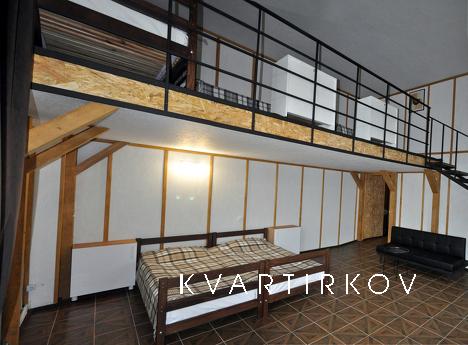 Loft-Apartments in Old Town, Kamianets-Podilskyi - apartment by the day