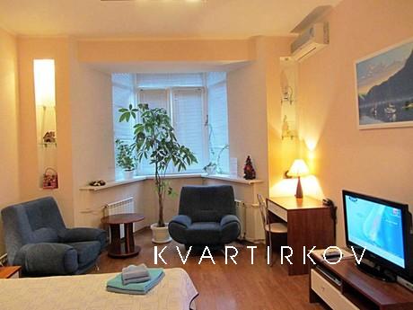 Apartment-studio on the third floor of a sixteen-house in th